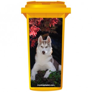 Husky Dog Lying Under A Tree Wheelie Bin Sticker Panel